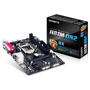 Gigabyte H81M-DS2